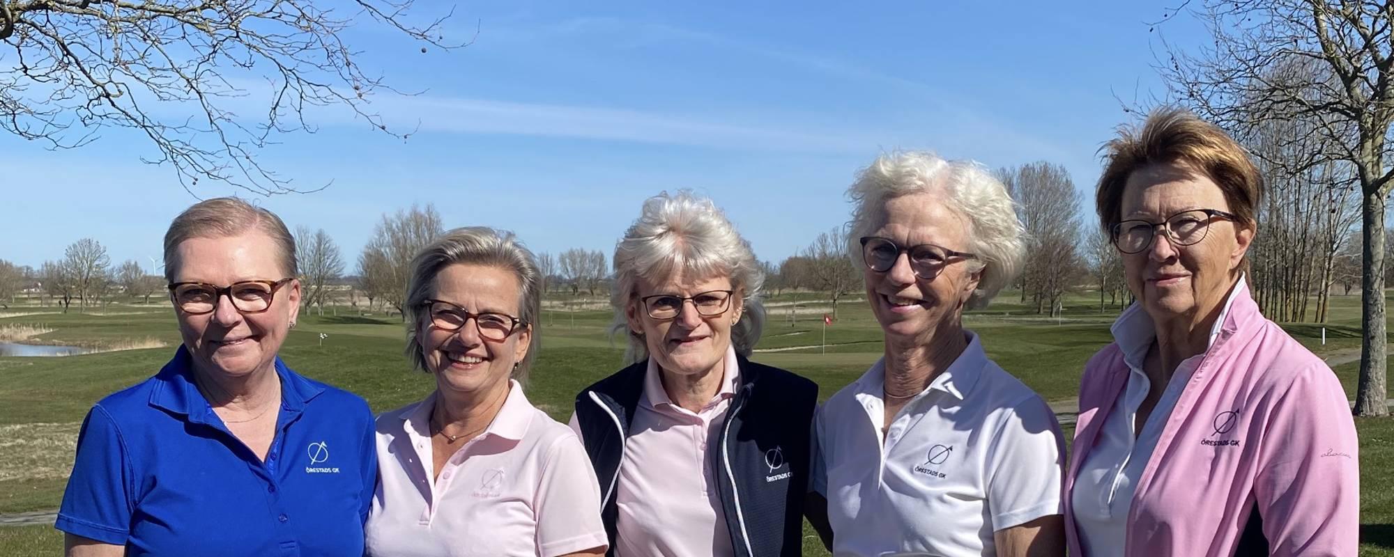 damkommittén-2025 damkommitten 2025