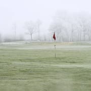 vinter6