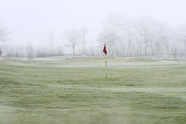 vinter6